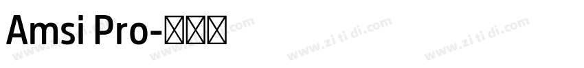 Amsi Pro字体转换